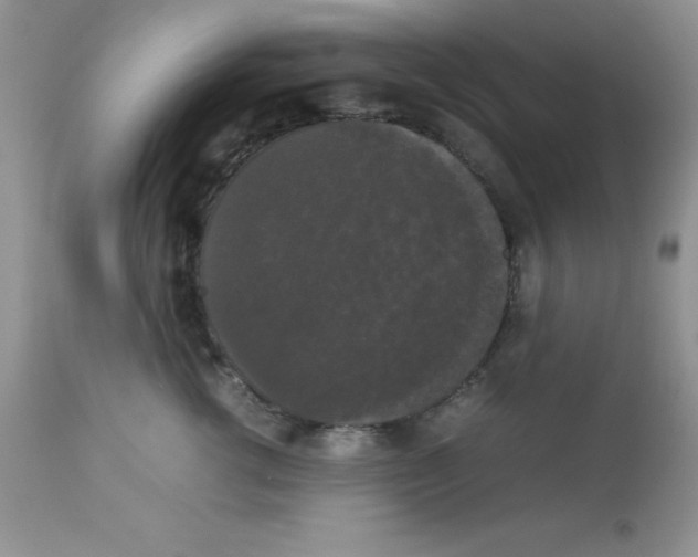 X0000112830762200909181649