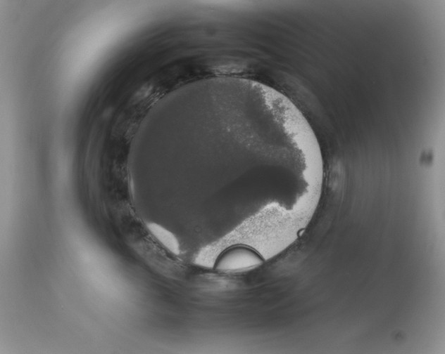 X0000112830763200909181649