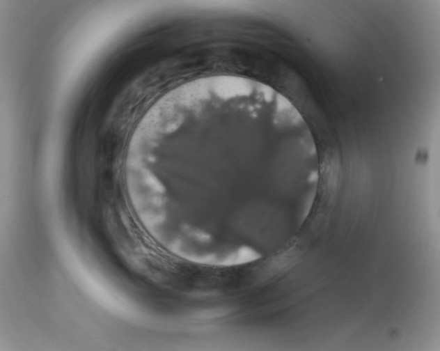 X0000112830765200909181649