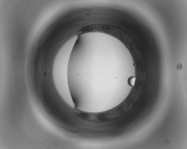 X0000112830766200909181649