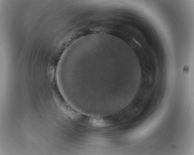 X0000112830767200909181649