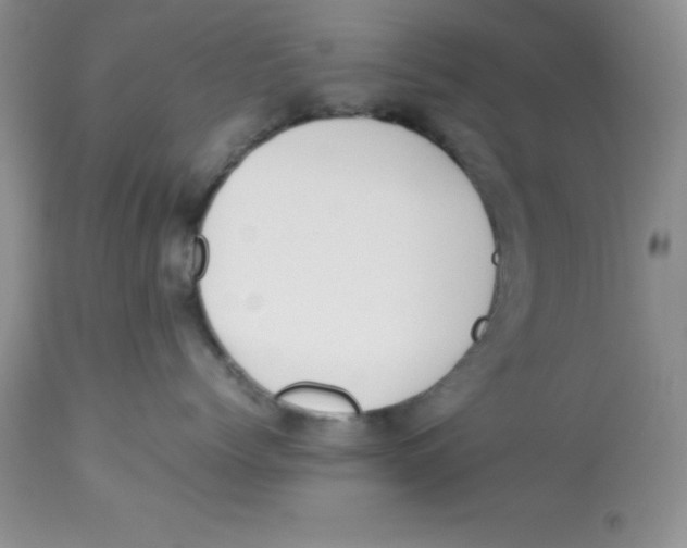 X0000112830768200909181649