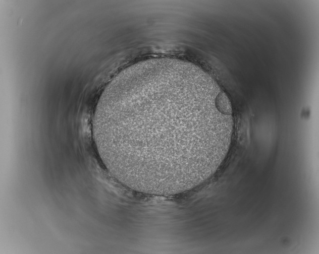 X0000112830770200909181649