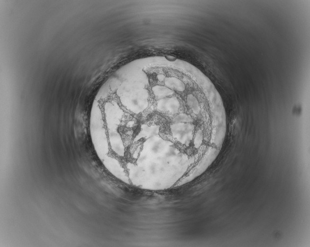 X0000112830772200909181649