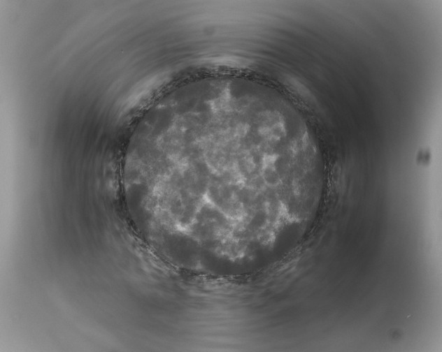 X0000112830774200909181649