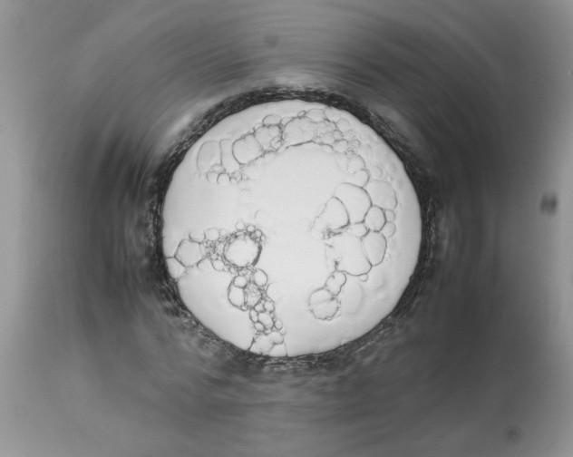 X0000112830776200909181649