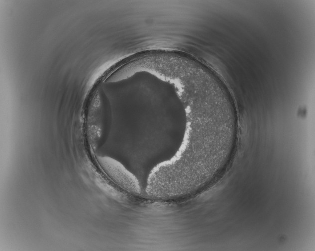 X0000112830779200909181649