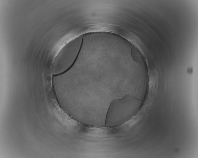 X0000112830781200909181649