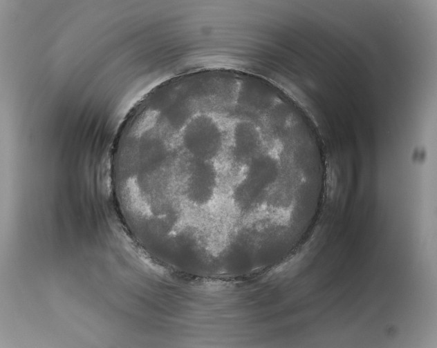 X0000112830782200909181649