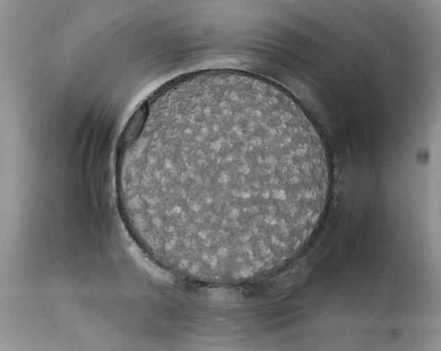 X0000112830792200909181648