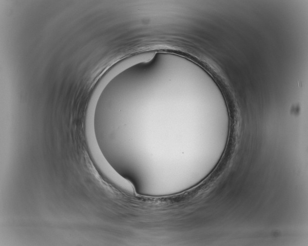 X0000112830793200909181648