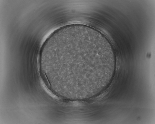 X0000112830796200909181648