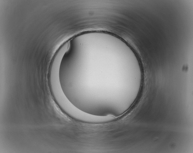 X0000112830797200909181648