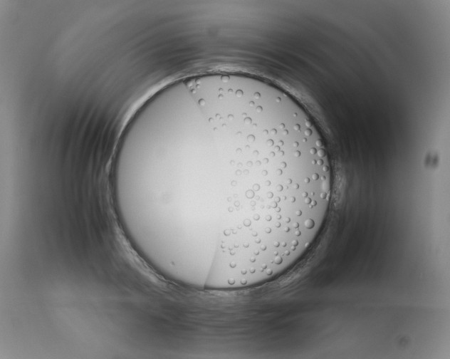 X0000112830798200909181648