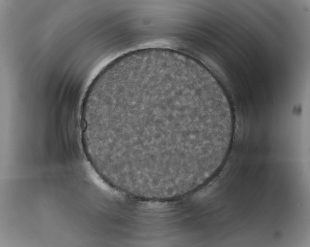 X0000112830800200909181648