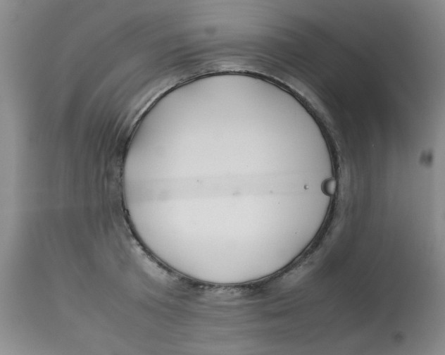 X0000112830801200909181648