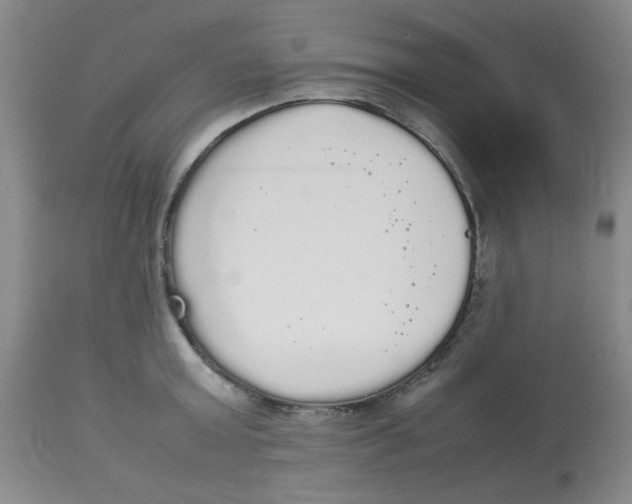 X0000112830803200909181648