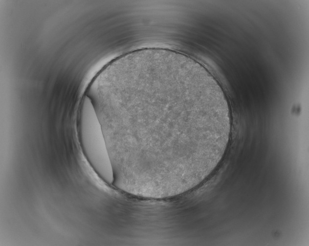 X0000112830804200909181648