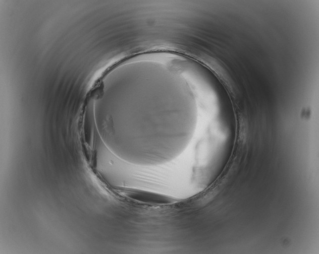 X0000112830806200909181648