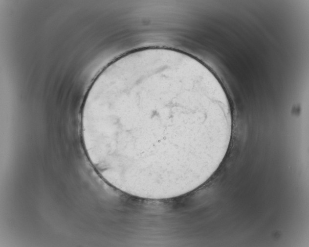 X0000112830807200909181648