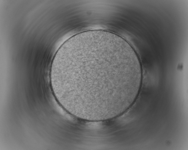 X0000112830810200909181648