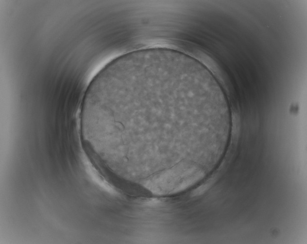 X0000112830814200909181648