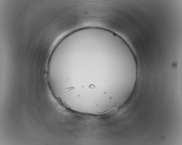 X0000112830815200909181648