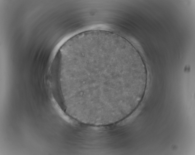 X0000112830816200909181648