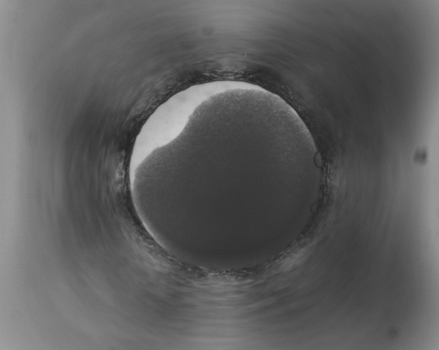 X0000112830818200909181647