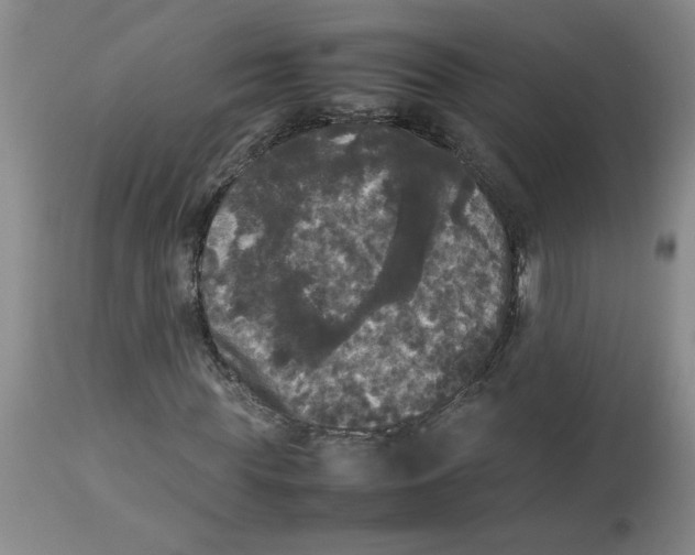 X0000112830819200909181647