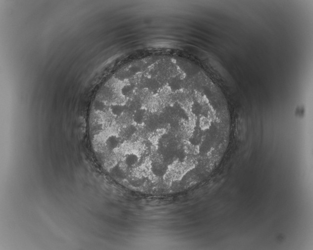 X0000112830821200909181647