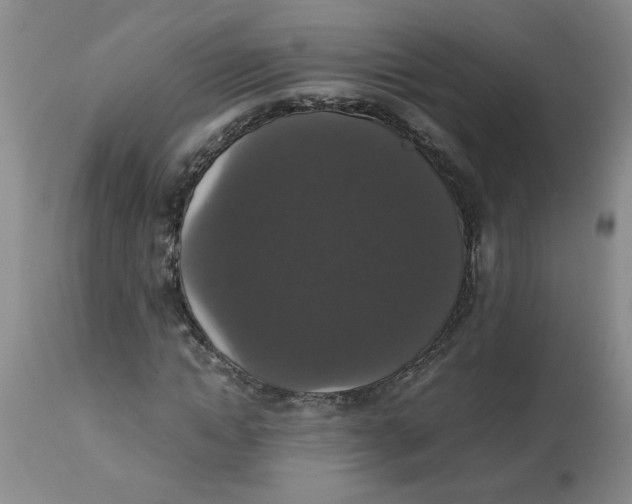 X0000112830822200909181647