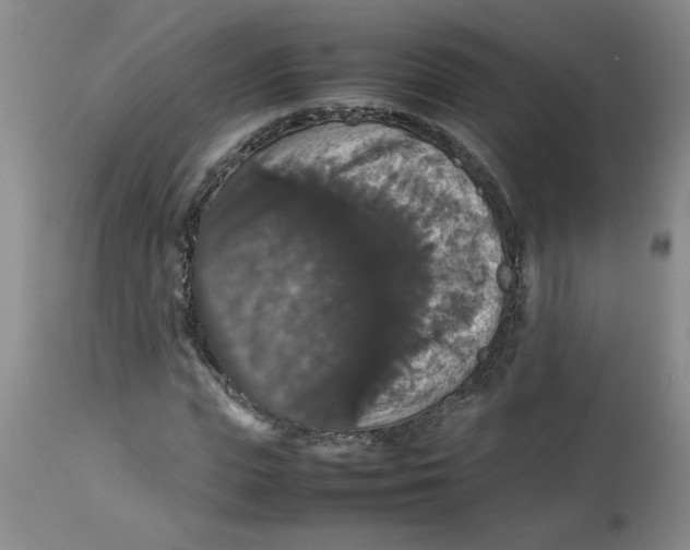 X0000112830823200909181647