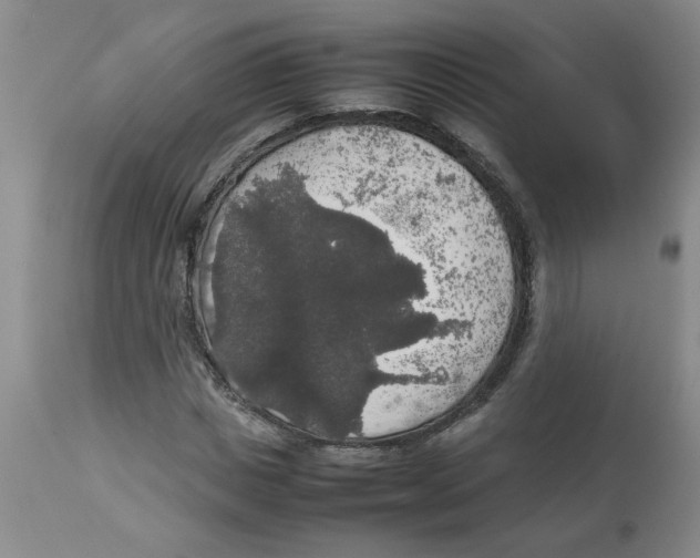 X0000112830825200909181648