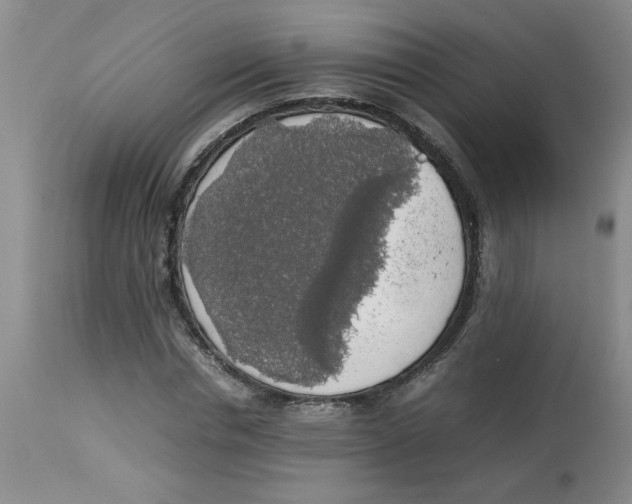 X0000112830826200909181648