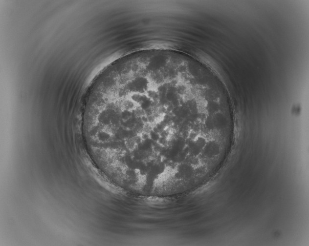 X0000112830827200909181648