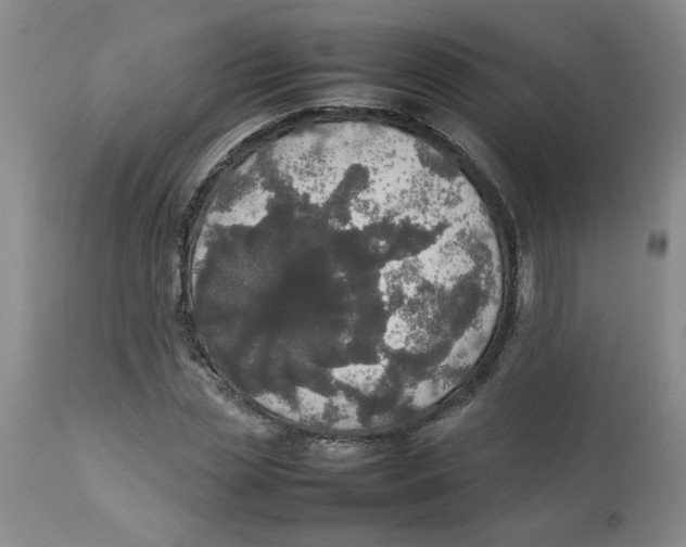 X0000112830829200909181648