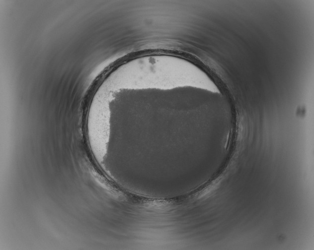 X0000112830830200909181648