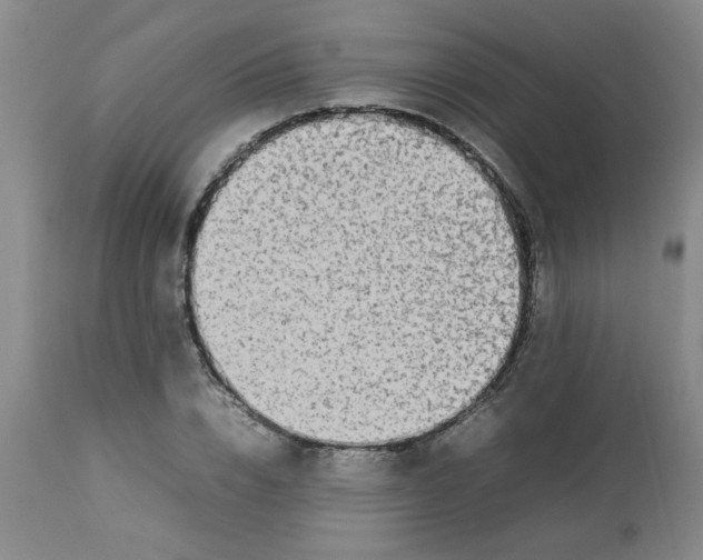 X0000112830832200909181648