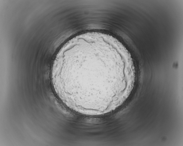 X0000112830833200909181648