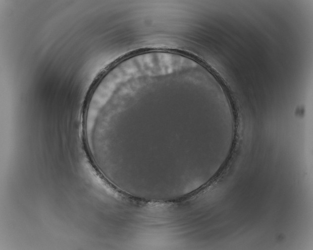 X0000112830840200909181648