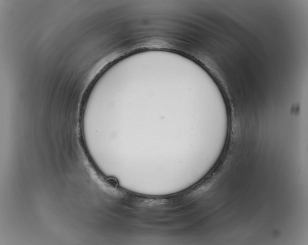 X0000112830845200909181648