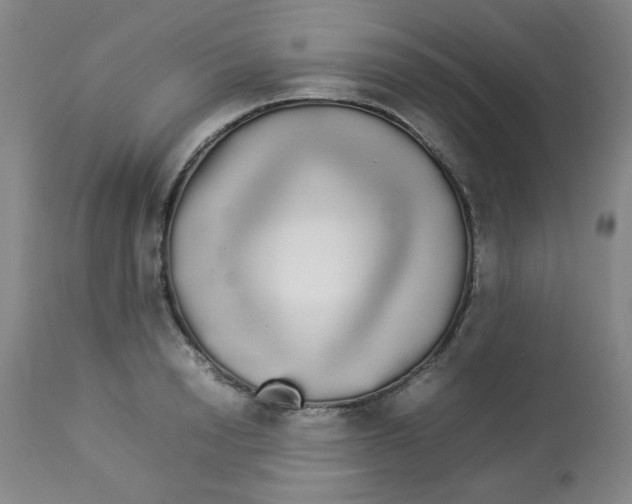 X0000112830846200909181648