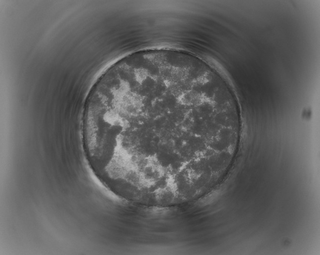 X0000112830847200909181648