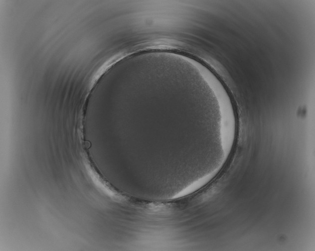 X0000112830850200909181648