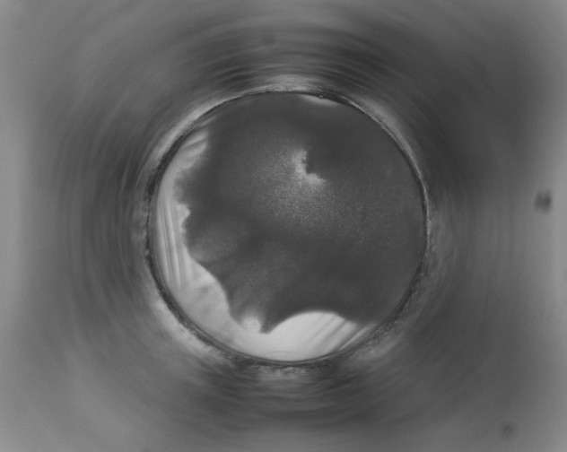 X0000112830851200909181648