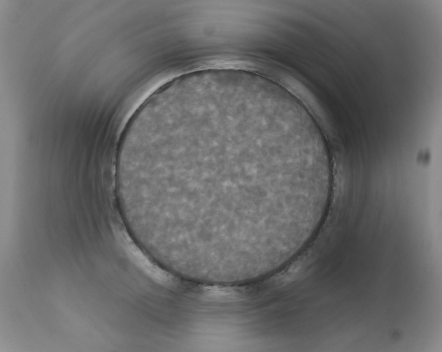 X0000112830852200909181648