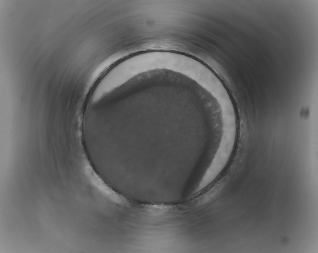 X0000112830854200909181648