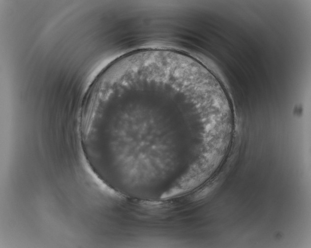 X0000112830855200909181648