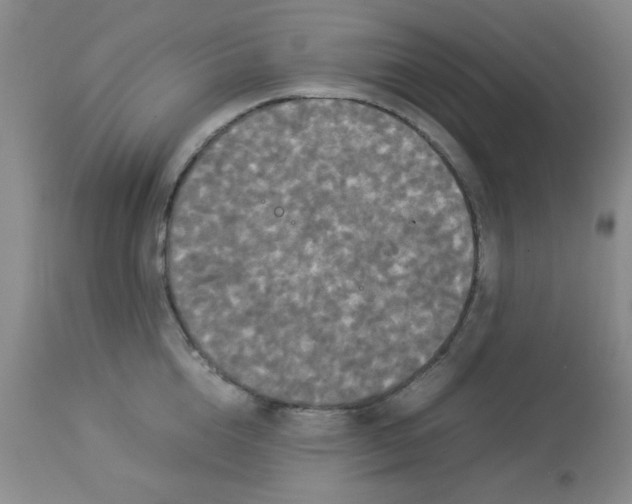 X0000112830856200909181648